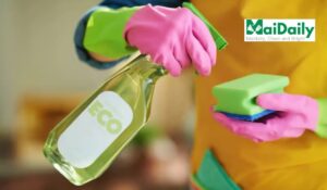 Non-toxic Cleaning Services