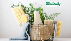 Non-toxic Cleaning Services