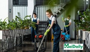 Natural Cleaning Services