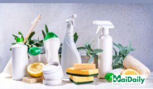 Eco-safe Home Cleaning Services