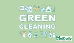 Sustainable House Cleaning Services