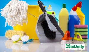 Eco-Certified Cleaning Services