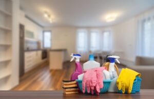 Top-Rated Cleaning Companies In Edmonton